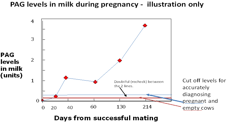 PAG levels through pregnancy